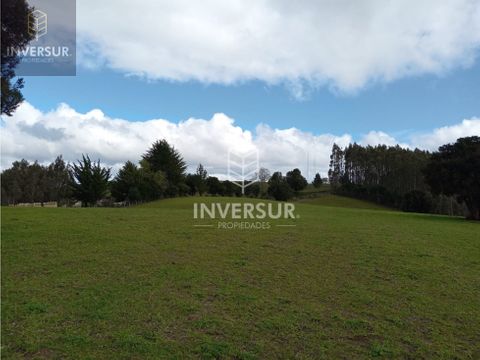 terreno en venta de 5 hectareas en la union