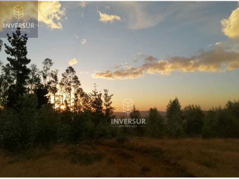 se vende loteo rural de 10 hectareas en loncoche la araucania