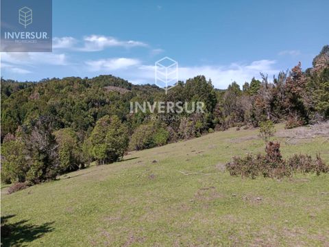 venta de predios 48ha en pichicullin sector san jose de la mariquina