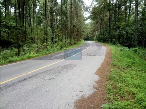 terreno ideal para rancho con abundante agua