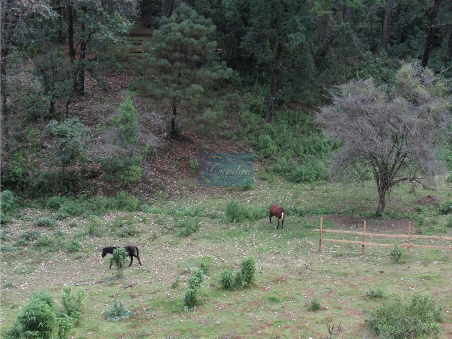rancho rodeado de bosque con manantial