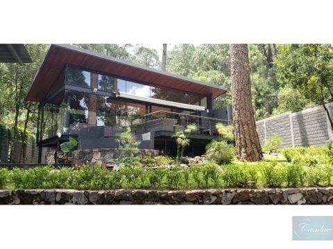 casa moderna enclavada en el bosque