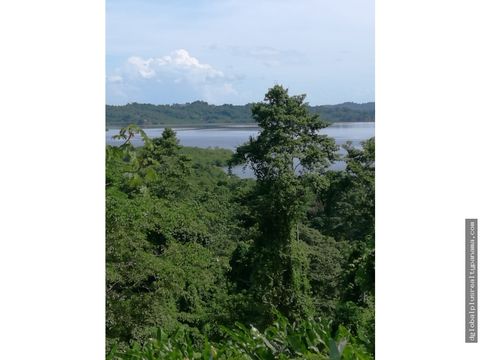 propiedad en bocas del toro y colinda con el mar