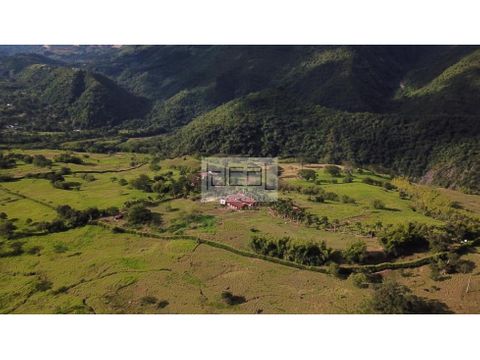 6487359 venta lote sin construccion venecia antioquia