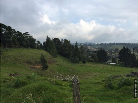 venta de lote en las palmas