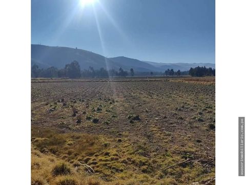 vendo 1 ha de chacra en matahuasi concepcion