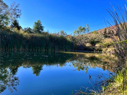 terreno en venta tiloxtoc valle de bravo