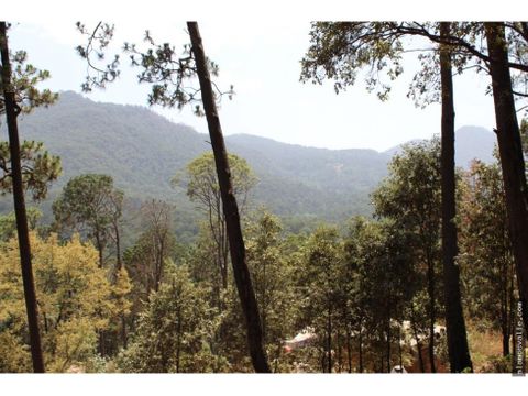 terreno en venta rincon del bosque avandaro