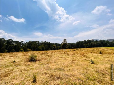 terreno en venta en valle de bravo saucos