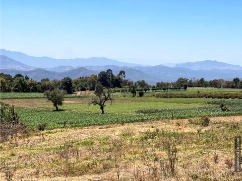 terreno 16 hectareas mesa de dolores valle de bravo