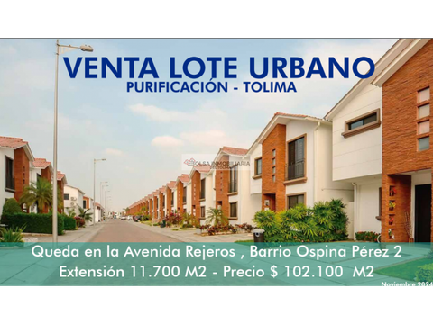 vendo lote urbano en purificacion