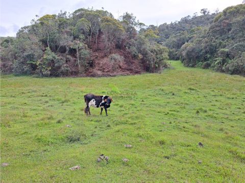 se vende lote en santuario