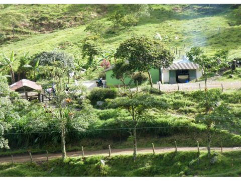 se vende finca en abriaqui antioquia