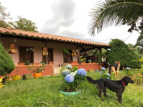 se vende finca en fredonia