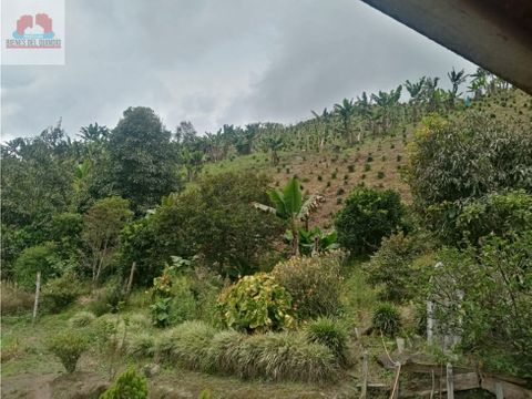 en venta finca en salento quindio