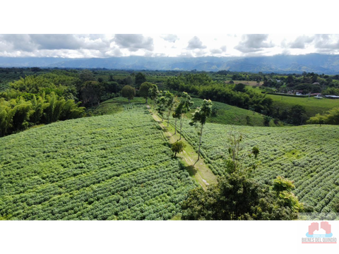 se vende finca via al eden quindio colombia