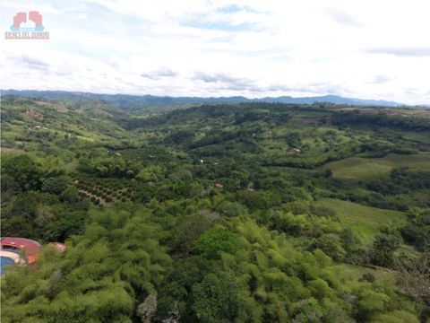 se vende lote en tebaida quindio colombia