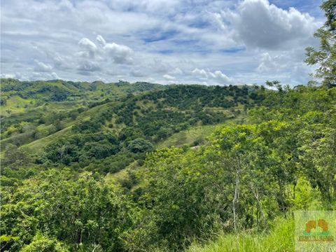 se vende hermosa finca en cartago valle colombia