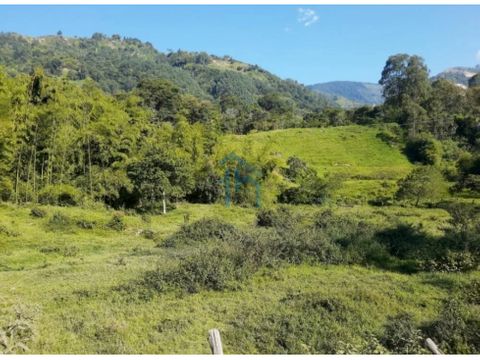 7000964ma venta de lote en amaga antioquia