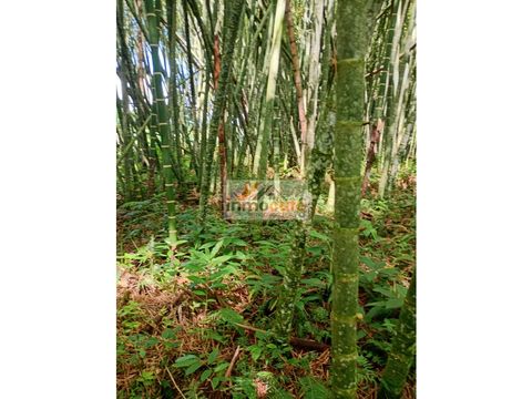 venta lote via montenegro a quimbaya quindio colombia cod 9275741