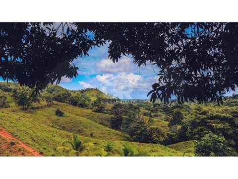 venta de terreno en proyecto ecologico en parrita san josecr 1662