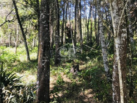 venta de finca en lamparas de alajuelita san jose costa rica 1917