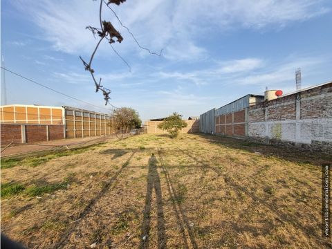 terreno en renta el salitre 990 m2 microindustrial sahuayo michoacan