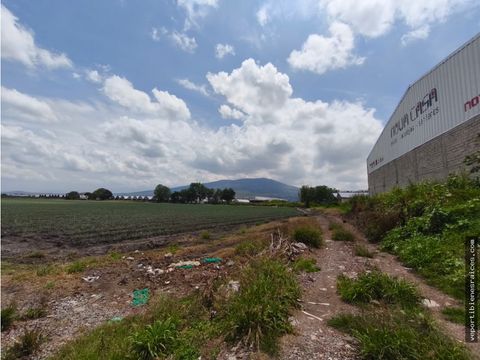 terreno venta 19100 m2 ingreso carretera sahuayojiquilpan michoacan