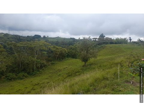 lote terreno