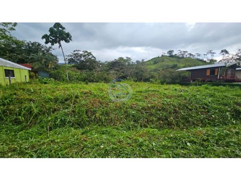 se vende lote en pejibaye jimenez cartago