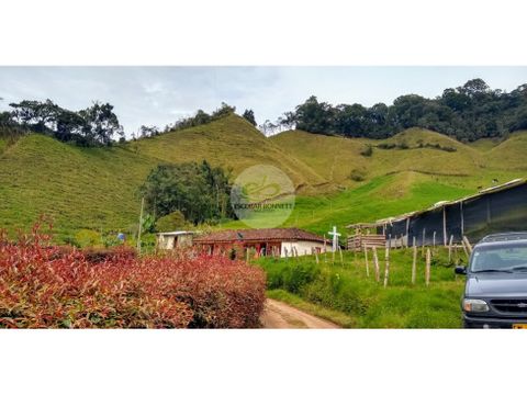 finca productiva en la ceja en venta 7 cuadras