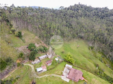 finca en venta santo domingo 7178 hectareas