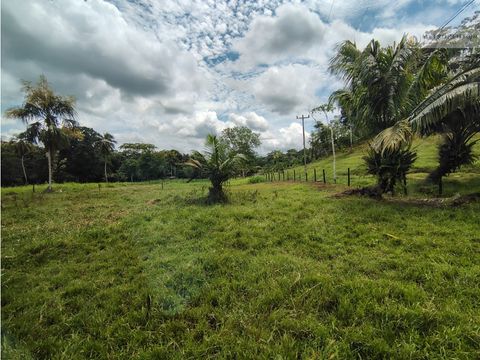 vendo casa campestre en la via a planeta rica cordoba