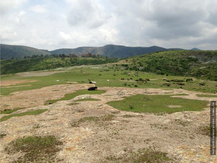 terreno en venta en guanajuato 320 hectareas