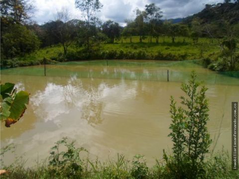 finca piscicola de 5 hectareas con todos los permisos en cubarral