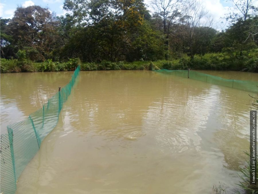 finca piscicola de 5 hectareas con todos los permisos en cubarral