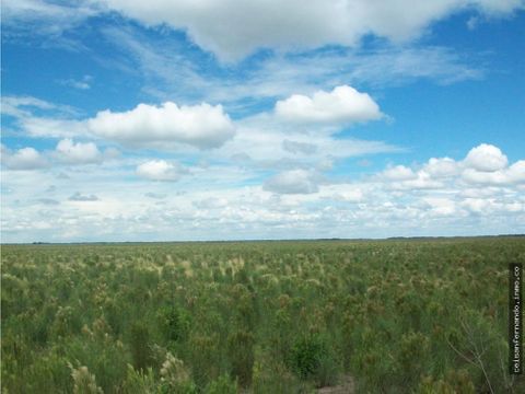 finca de 2539 hectareas ganadera y arrocera en mani casanare