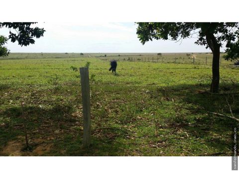 finca de 5469 hectareas en puerto gaitan meta