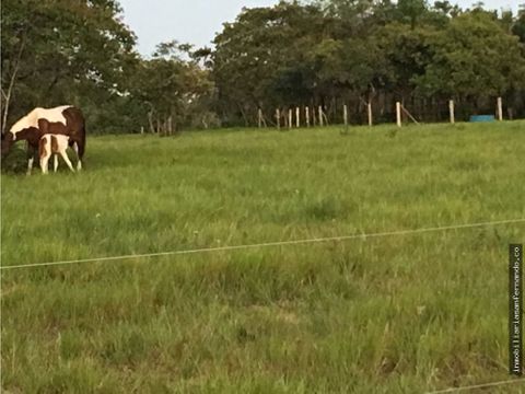 finca ganadera de 630 hectareas en puerto gaitan meta