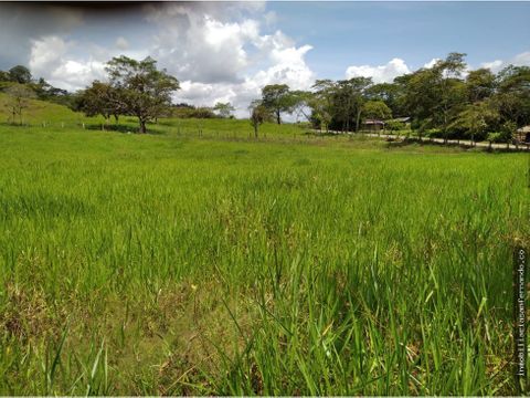 finca de 23 hectareas en medina cundinamarca