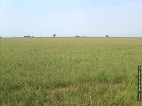 finca de 34294 hectareas en el viento vichada