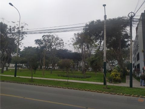 jacaranda valle hermoso