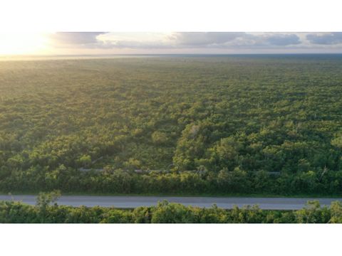 terreno en venta 5h a pie de carretera 20 km cancun rumbo merida