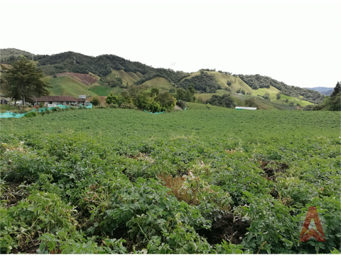 finca multiproposito la union antioquia