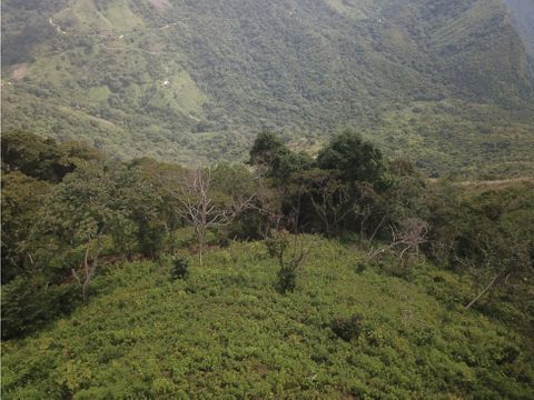 aproveche finca sierra nevada santa marta 54 hect