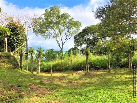 finca en venta 19hctas para desarrollo miravalles perez zeledon