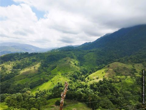 finca en venta 33hcts la perla de baru perez zeledon costa rica