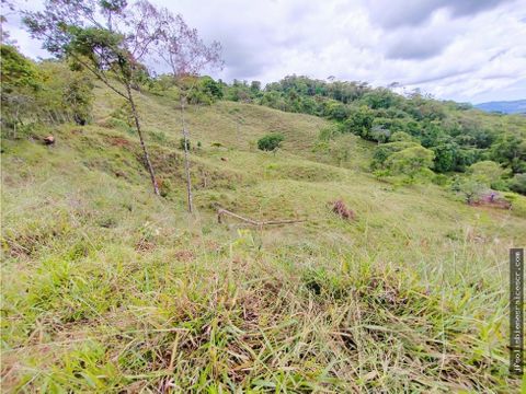 finca en venta 42hcts pasto montana lindas vistas la linda pz