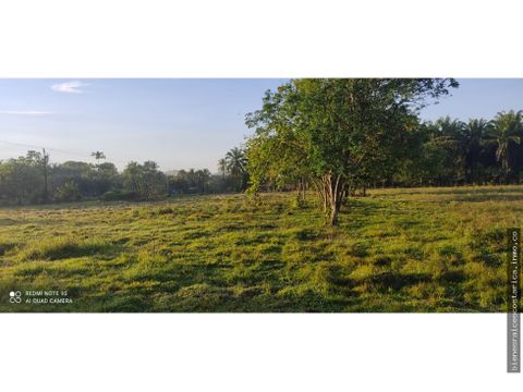 finca en venta para desarrollo urbanistico guaycara golfito puntarenas