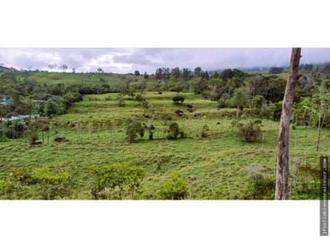 finca en venta de 96hcts en santa teresa de cajon perez zeledon